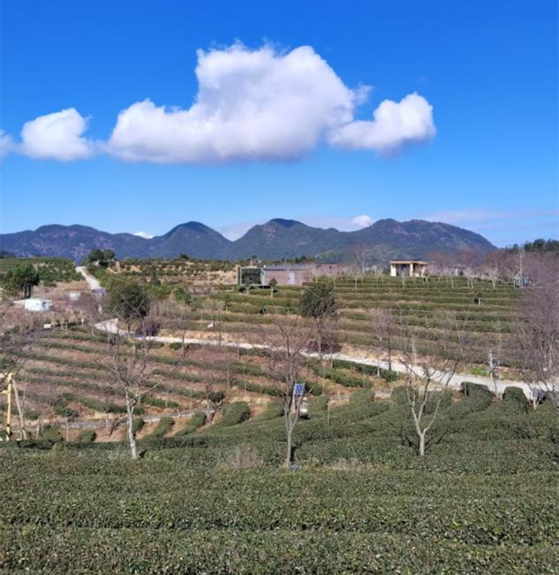 a0803a251f8192fffc16156a7d7b12c0_69592cc830180.jpg a0803a251f8192fffc16156a7d7b12c0_69592cc830180.jpg